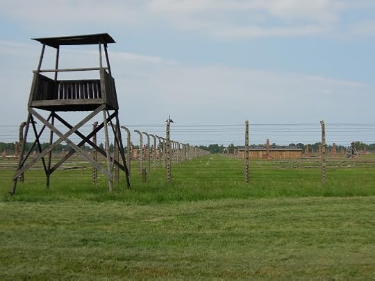 fence