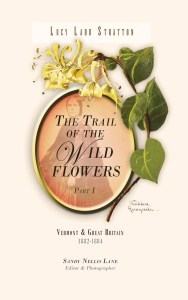 trailwildflowers-med