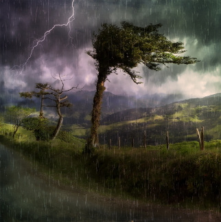 landscape-695137