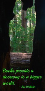 books-doorway-to-bigger-world