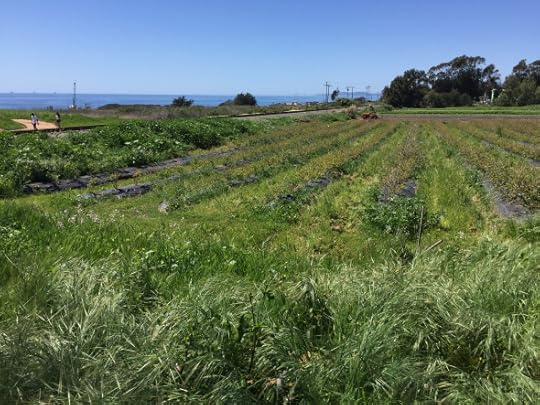 cbe3bd94-0285-4706-94e0-42de073c4904