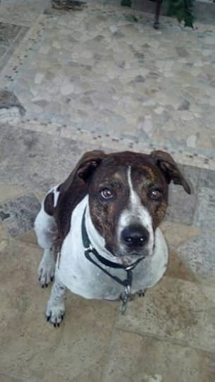 10636230_10205232238224888_3061798344692450043_n2