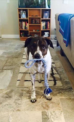 12741935_10208765286748893_2236168091358467724_n2