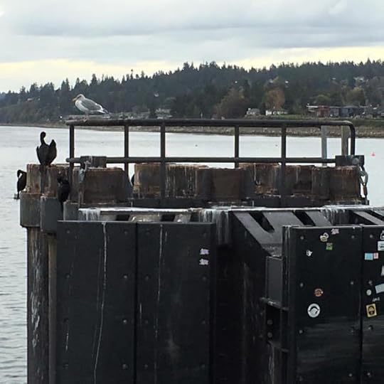 14572778_10210584915009896_2518637207503030082_n