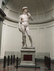david