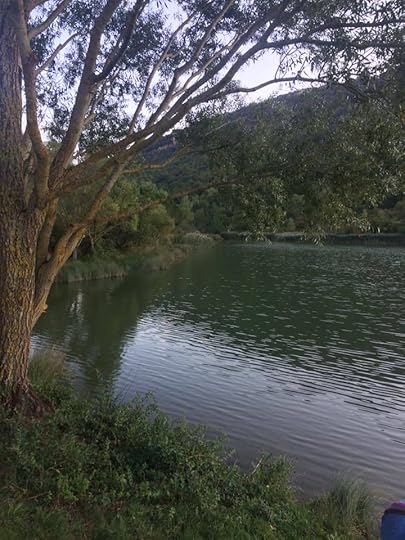 14522769_10153720370096086_5129384318762153364_n