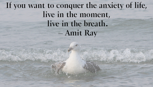 meditate-moment