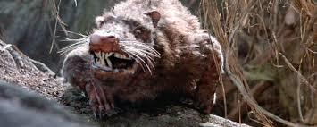  photo ROUS_zpsqmlxzmta.jpg