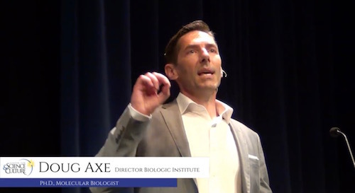 Axe Houston 1.jpg