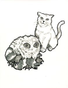 mobymidorri