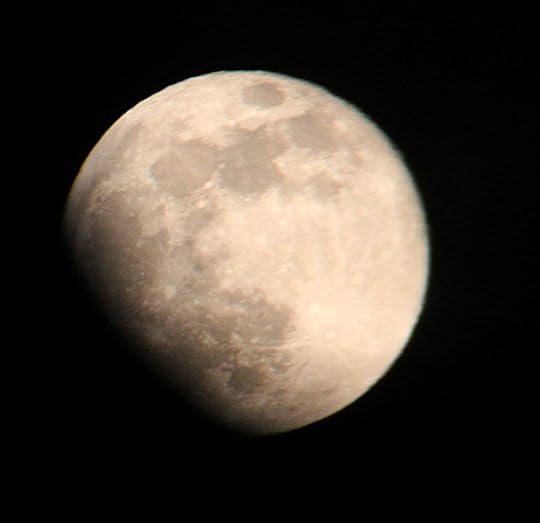 The 2013 Supermoon, taken from my yard
