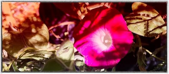 Red flower
