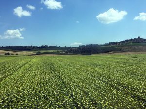 The countryside slipping by our window was beautiful. We’ve been to Tuscany and Umbria before but have never traveled through those areas by rail.