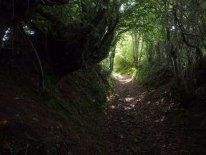 path-434296_960_720