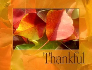 Thankful13