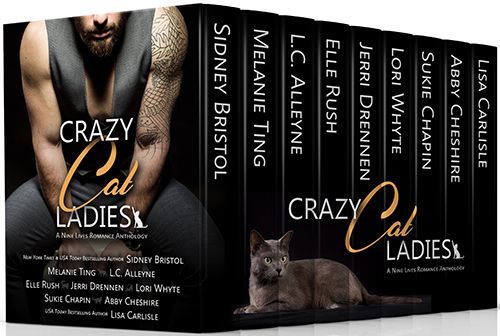 sc2crazy-cat-ladies-9-boxset-3d-cover-v500x336