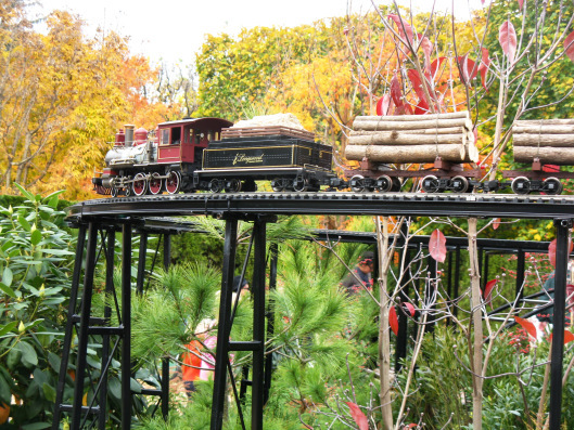 Longwood Gardens 081