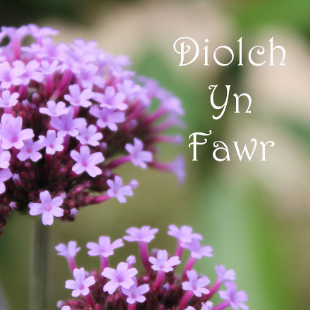 diolch-yn-fawr-web