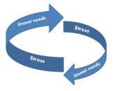 stress-and-unmet-needs-1