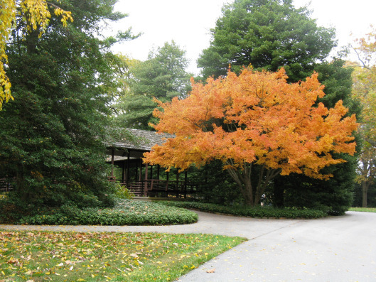Longwood Gardens 095
