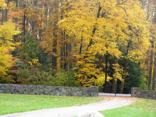 Longwood Gardens 094