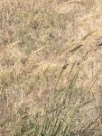 img_7583