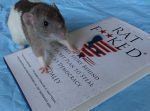 rat666c-838x621