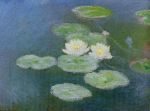 water-lilies-evening-effect-large
