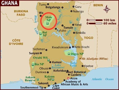 Mole NP is in the Northern Region, the largest region in Ghana