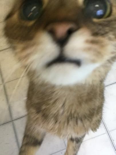 13413655_10209494893551459_4365585511526871096_n