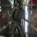 EMP Museum Seattle Xenomorph