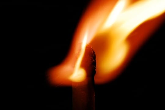 dsc_0009-2008-03-04-at-16-43-50