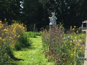 Bee Garden