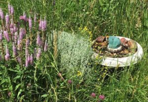 Birdbath