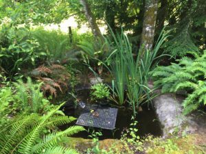 Concrete pond