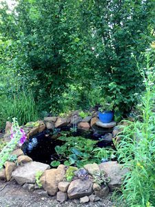 Finished pond