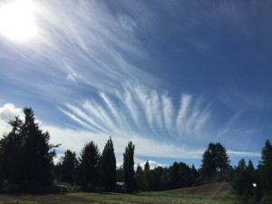 Clouds 9-21-15 a