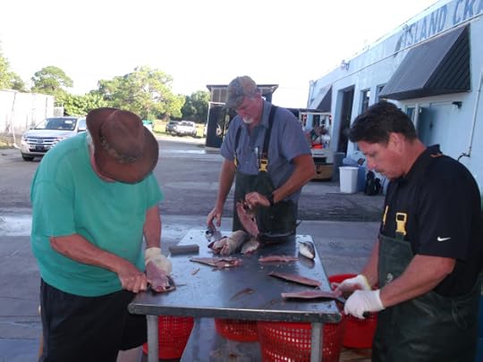Filleting 400 pounds of fish for the 