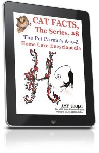 ipadverticalright_634x982-1