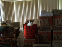 Mini packing to move