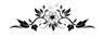 image002
