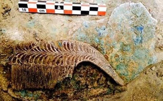 An ivory comb which was found in the grave last year.