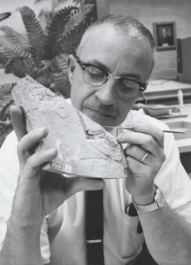 Ostrom and Archaeopteryx