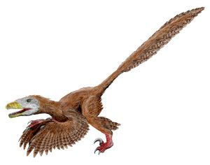 24-4-deinonychus_color4-tamura