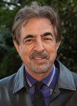 joe_mantegna_2014