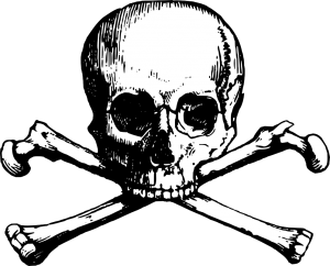 bones