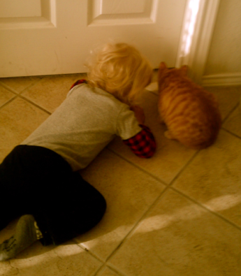 screen-shot-2016-10-12-at-9-39-06-am