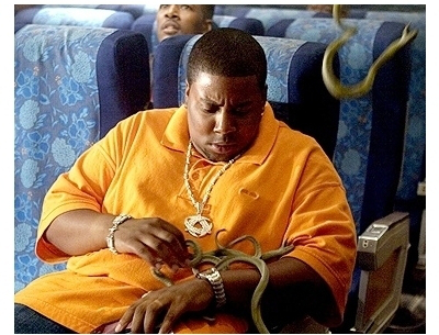 From the cinematic masterpiece Snakes on a Plane