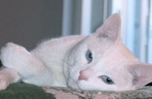 E7BD1DF0-E054-4ABE-9F03-0381A25BFEF5-2