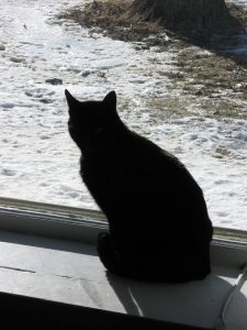 1798046_10201990522298228_2135356148_n